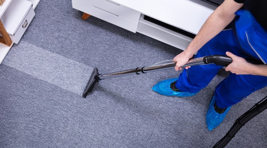 Guide to Carpet Cleaning Adelaide Tips from Pros